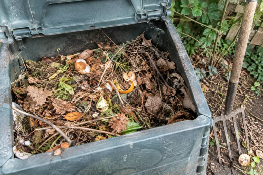 Feuilles et épluchures dans un composteur