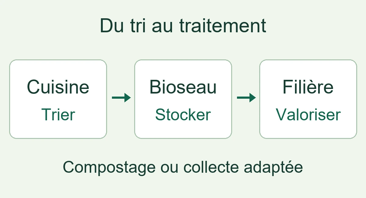Parcours des biodéchets en trois étapes